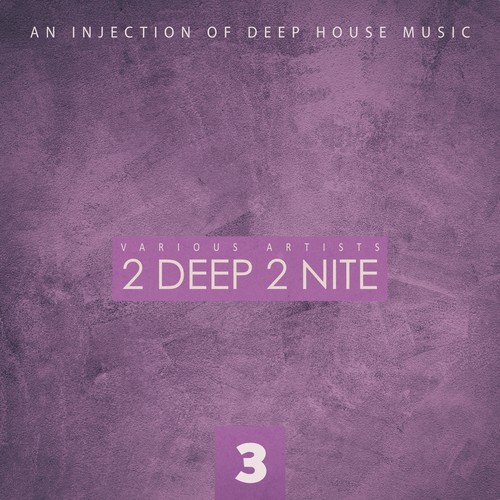 2 Deep 2 Nite, Vol. 3