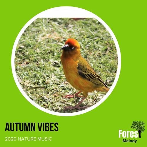 Autumn Vibes - 2020 Nature Music