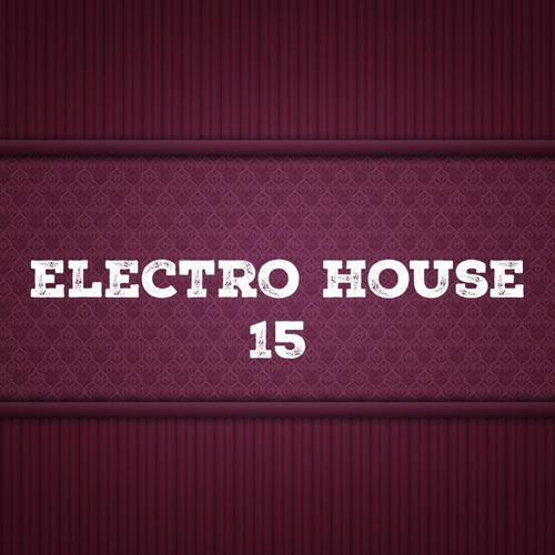 Electro House, Vol. 15