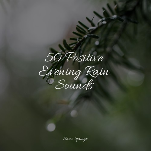 50 Positive Evening Rain Sounds