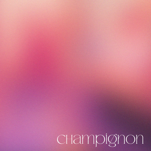 Champignon