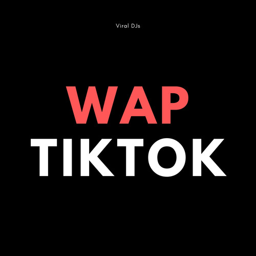 WAP TikTok (Explicit)