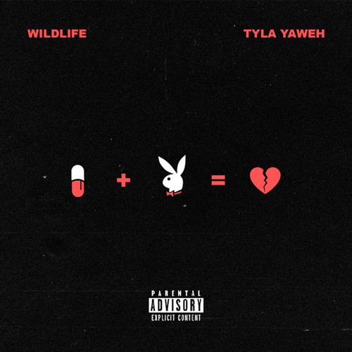 WILDLIFE (Explicit)