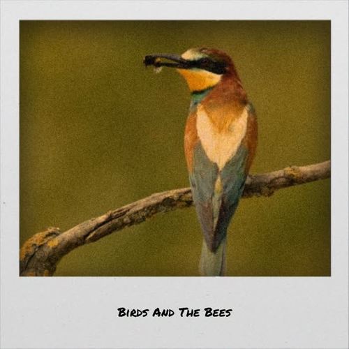 Birds And The Bees