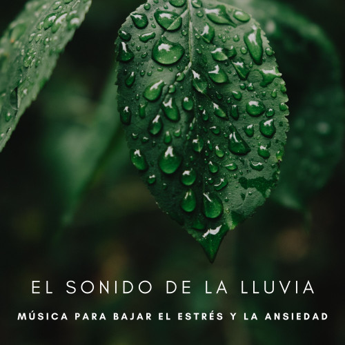 El Sonido De La Lluvia: Música Para Bajar El Estrés y La Ansiedad