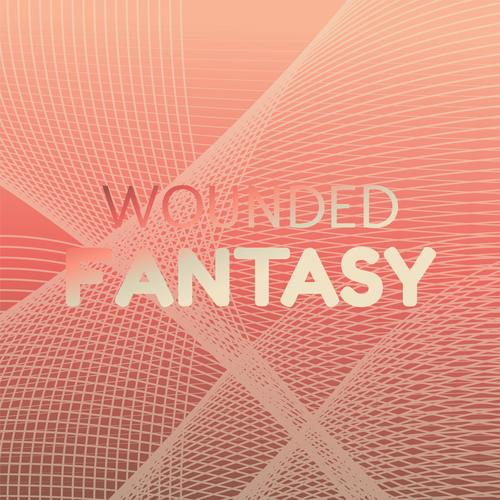 Wounded Fantasy