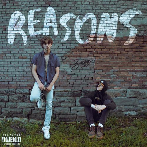 Reasons (Explicit)