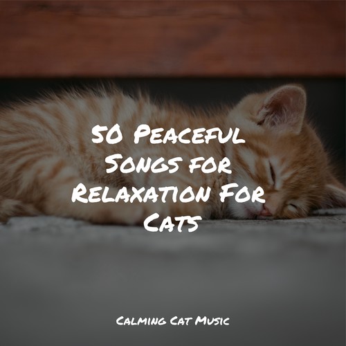 50 Peaceful Songs for Relaxation For Cats