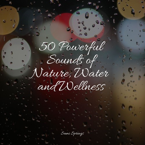 50 Powerful Sounds of Nature, Water and Wellness