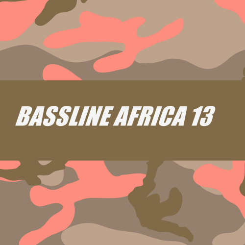 BASSLINE AFRICA 13