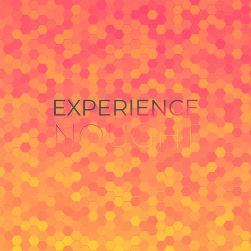 Experience Nought