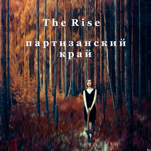 Партизанский край