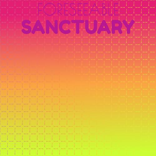 Foreseeable Sanctuary