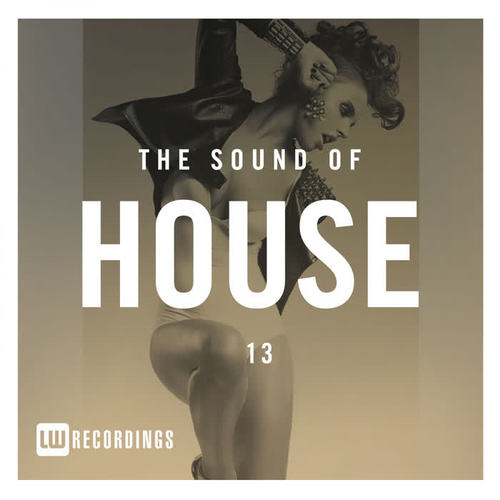 The Sound Of House, Vol. 13