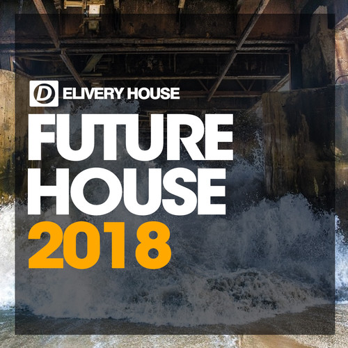 Future House Summer 2018