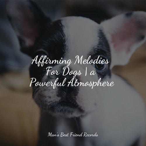 Essential Sounds For Dogs | Complete Deep Sleep