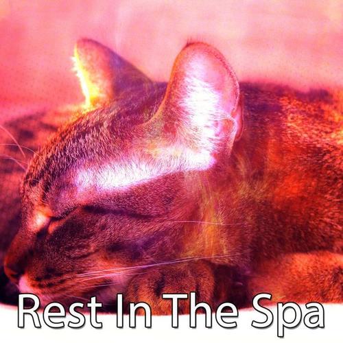 Rest In The Spa