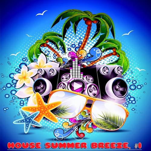 House Summer Breeze, #1 (20 House DJ Tracks)