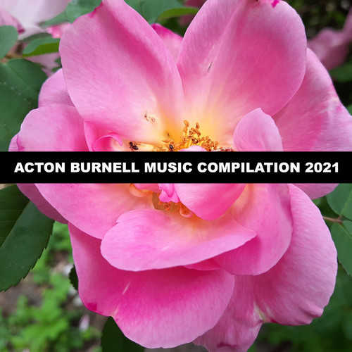 Acton Burnell Music Compilation 2021