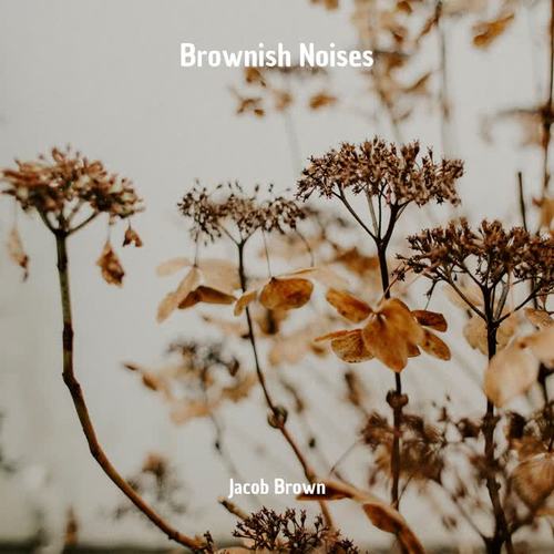 Brownish Noises