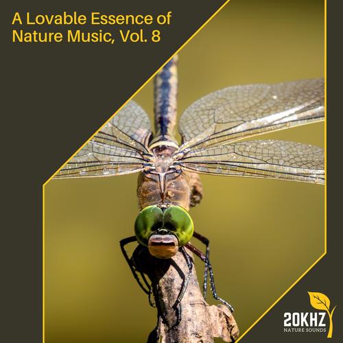 A Lovable Essence of Nature Music, Vol. 8