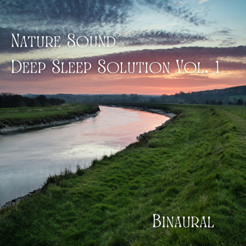 Binaural: Nature Sound Deep Sleep Solution Vol. 1 - 2 Hours