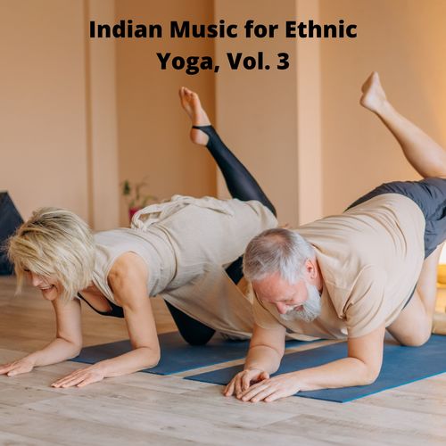 Indian Music For Ethnic Yoga, Vol. 3