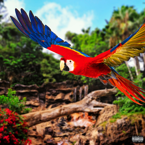 Wild Parrots (Explicit)