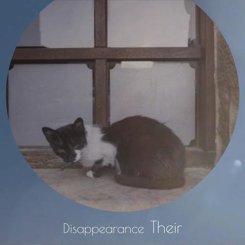 Disappearance Their