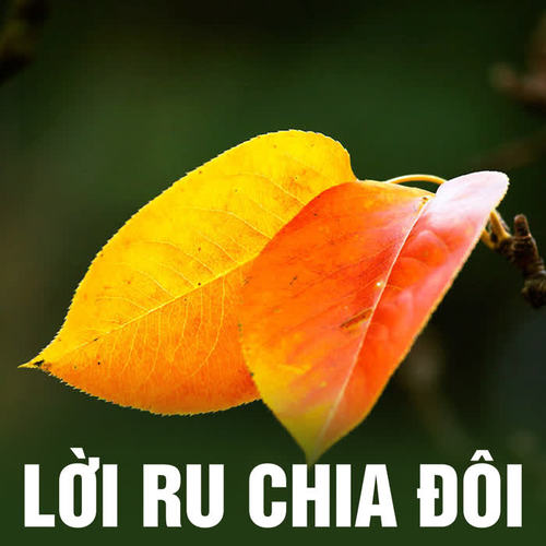 Lời ru chia đôi