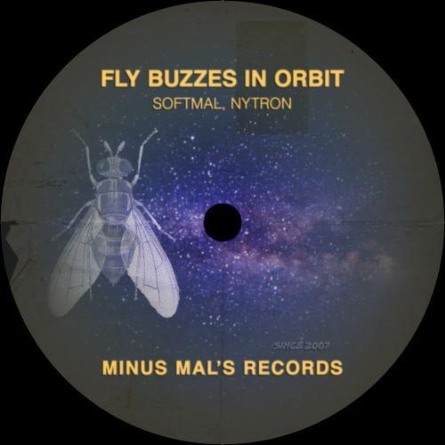 Fly Buzzes In Orbit