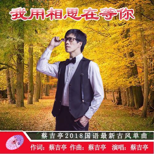 我用相思在等你