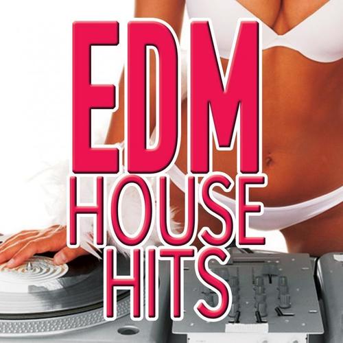Edm House Hits