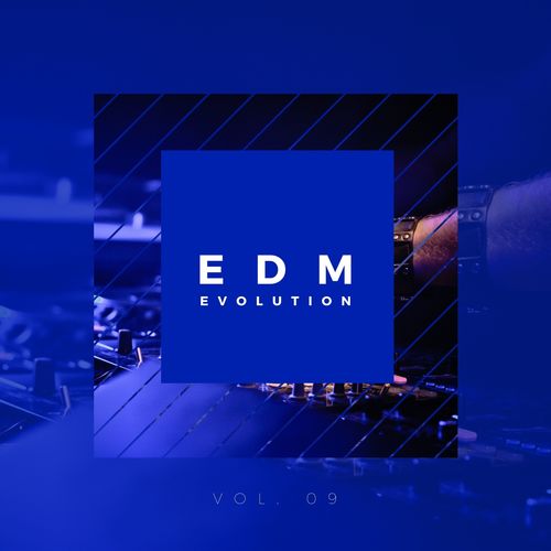 EDM Evolution - Vol. 09