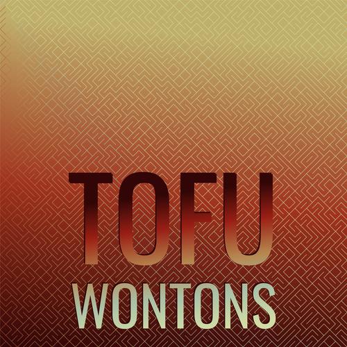 Tofu Wontons