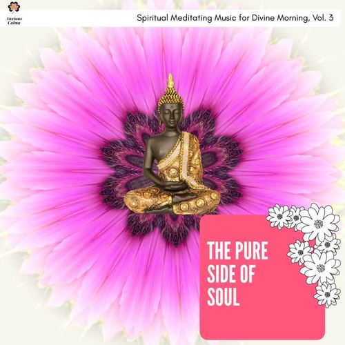 The Pure Side Of Soul - Spiritual Meditating Music For Divine Morning, Vol. 3