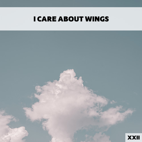 I Care About Wings XXII