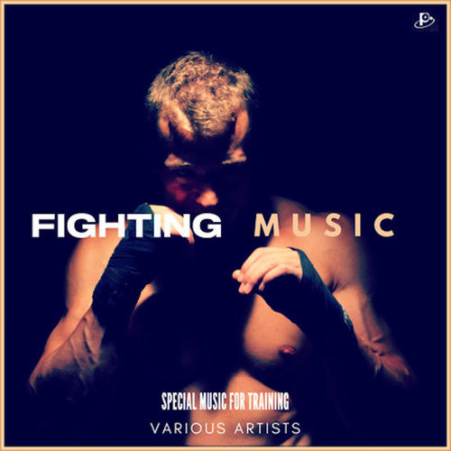 Fighting Music: Special Music For Training