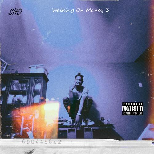 Walking On Money 3 (Explicit)