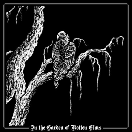 In the Garden of Rotten Elms (Explicit)