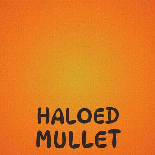 Haloed Mullet