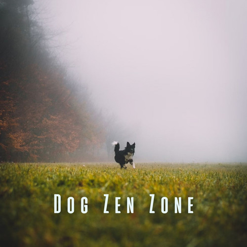 Dog Zen Zone: White Noise and Rain for Calming Canine Vibes