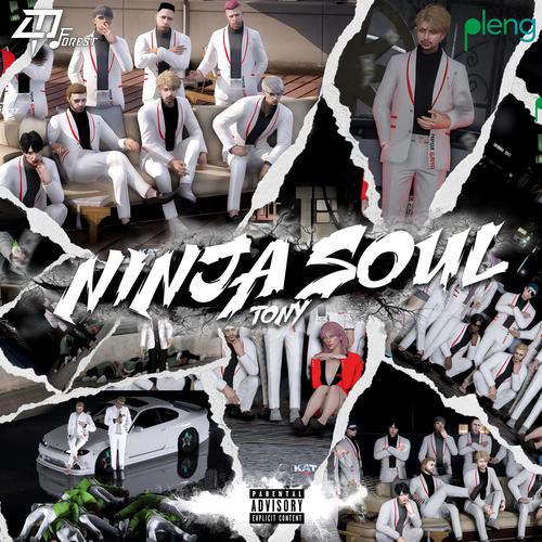 Ninja Soul (Explicit)