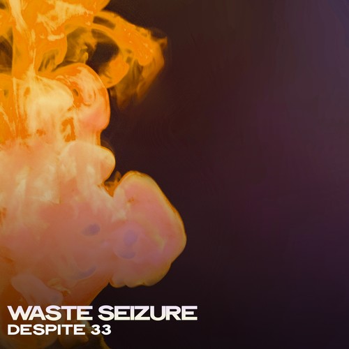 Waste Seizure