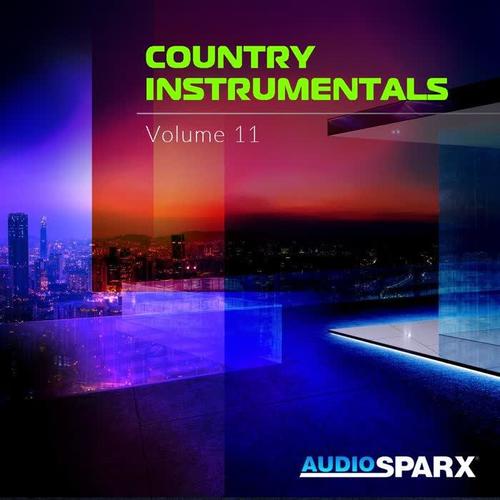 Country Instrumentals Volume 11