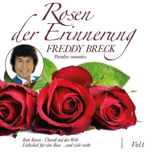 Rosen der Erinnerung, Vol. 1 (Paradiso romantico)