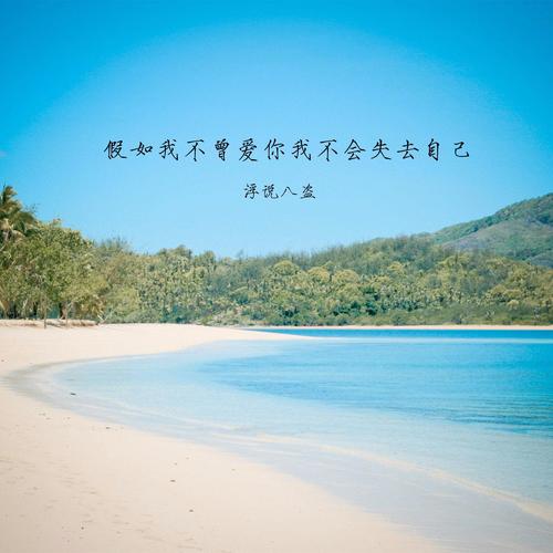 假如我不曾爱你我不会失去自己