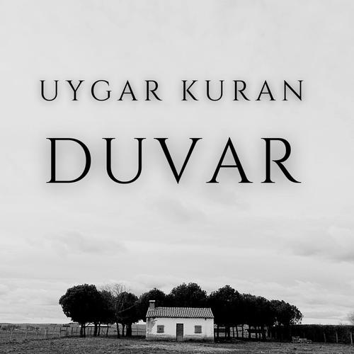 Duvar