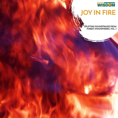 Joy in Fire - Uplifting Soundtracks from Forest Atmospheres, Vol. 5