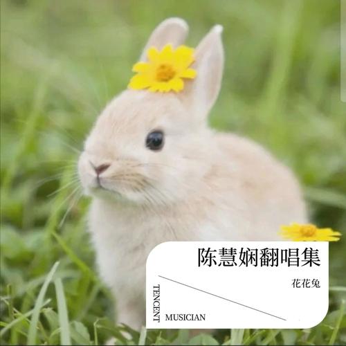 陈慧娴翻唱集
